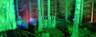Night time woodland laser tag arena